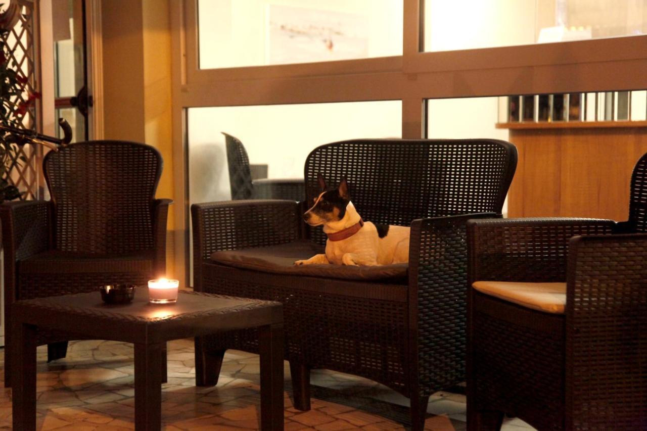 Hotel Alfa Anche In All Inclusive 리미니 외부 사진