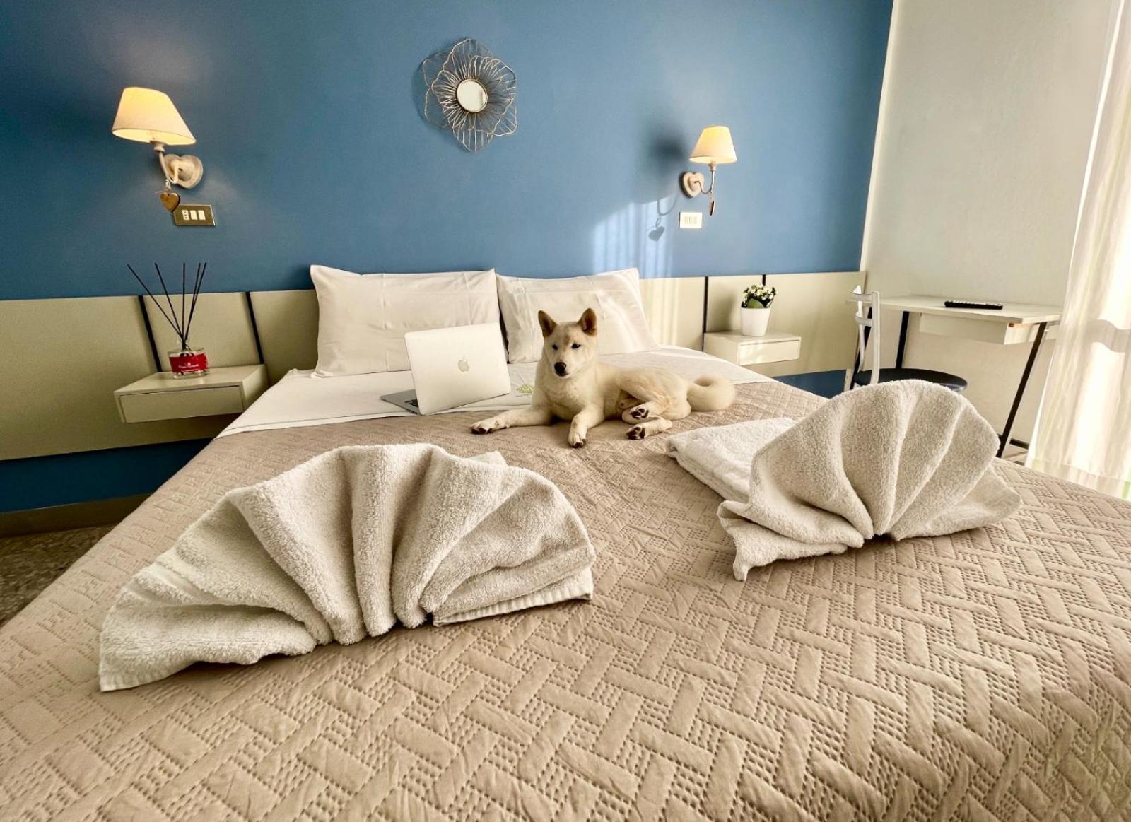 Hotel Alfa Anche In All Inclusive 리미니 외부 사진